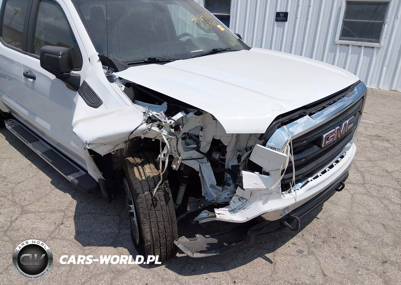 2020 GMC Sierra 1500 4Wd Short Box VIN:1GTP9AEH1LZ109415 - 6