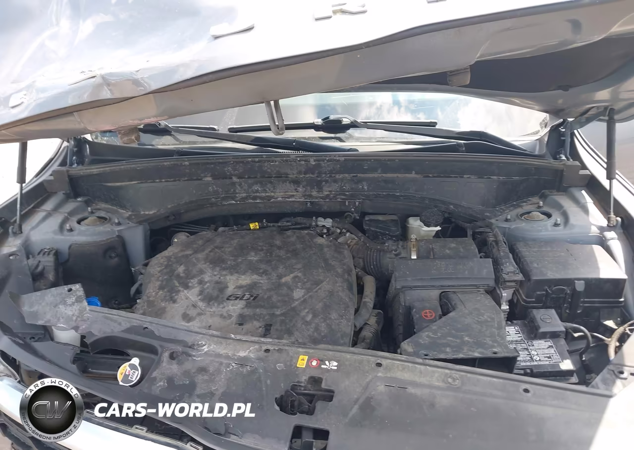 2022 Kia Telluride Sx VIN:5XYP54HC0NG207351 - 10
