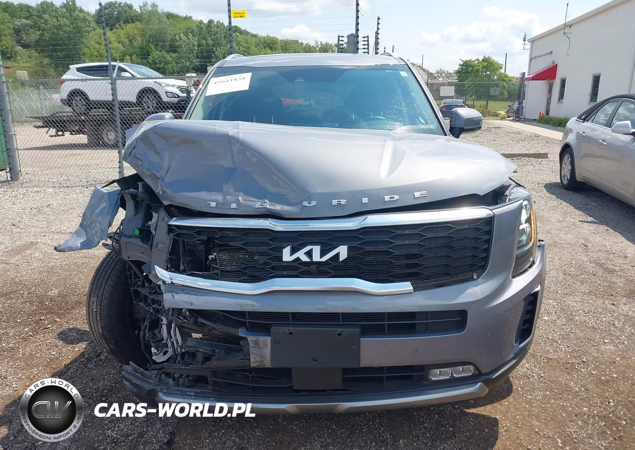 2022 Kia Telluride Sx VIN:5XYP54HC0NG207351 - 12