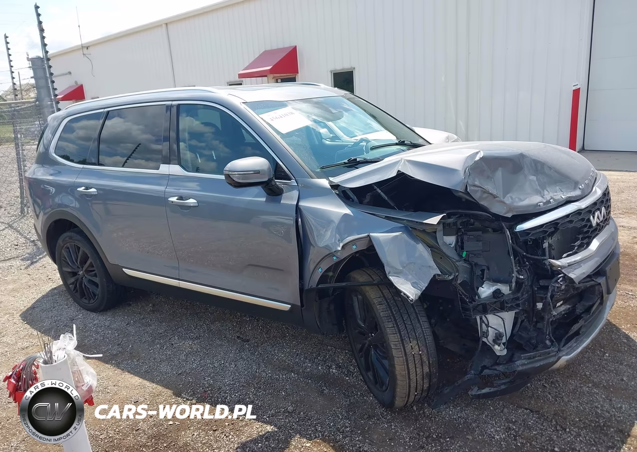 2022 Kia Telluride Sx VIN:5XYP54HC0NG207351 - 13