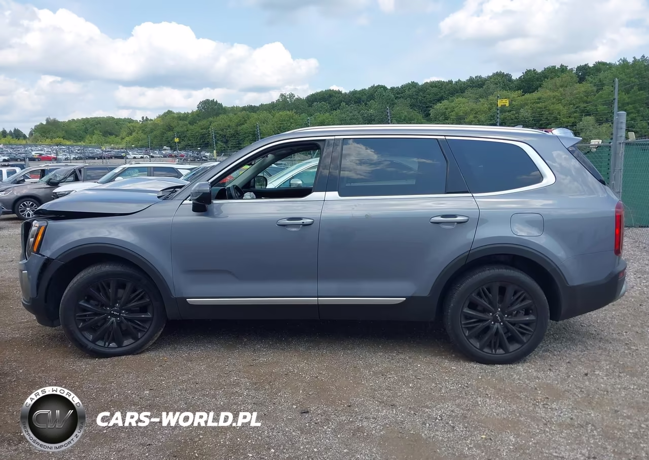 2022 Kia Telluride Sx VIN:5XYP54HC0NG207351 - 14