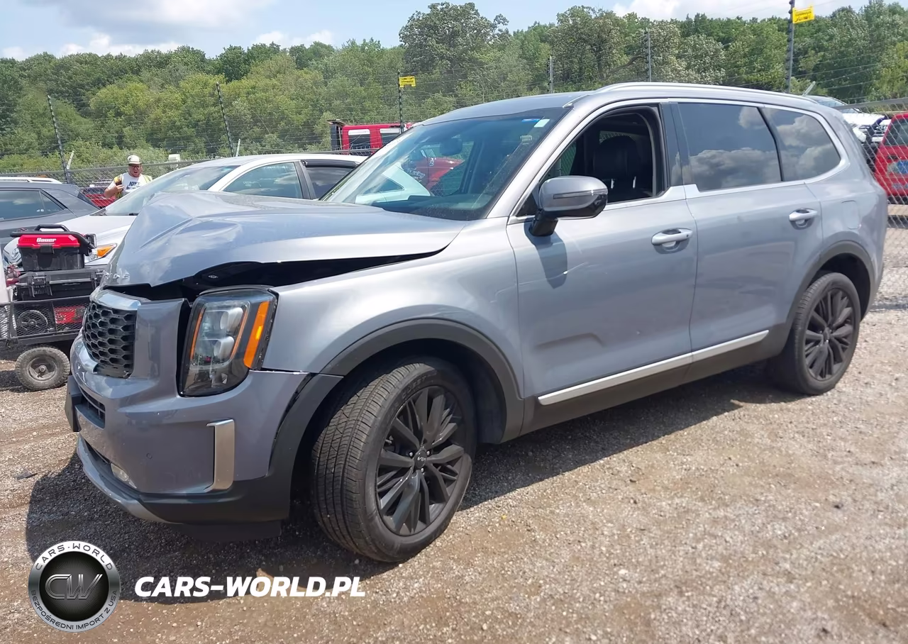 2022 Kia Telluride Sx VIN:5XYP54HC0NG207351 - 2