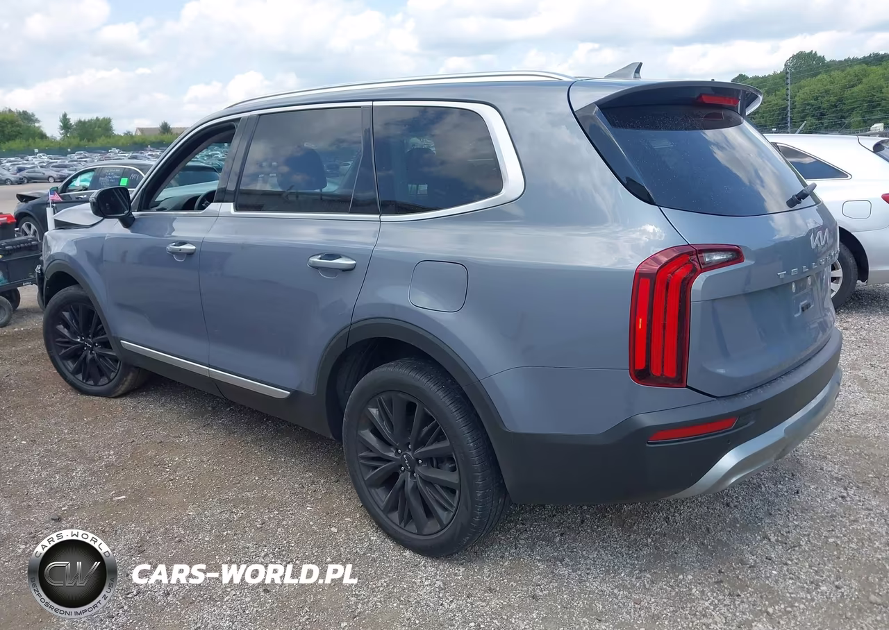 2022 Kia Telluride Sx VIN:5XYP54HC0NG207351 - 3