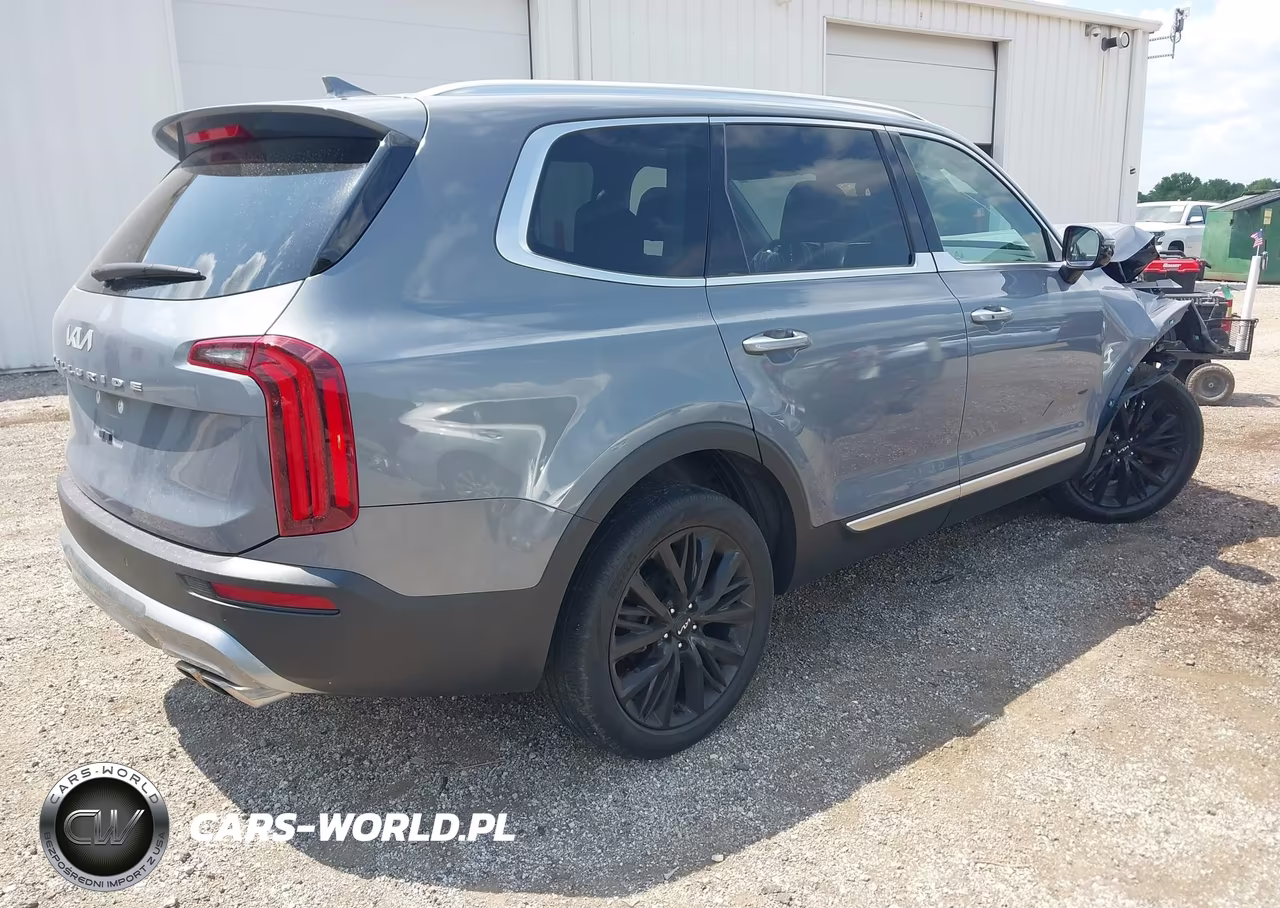 2022 Kia Telluride Sx VIN:5XYP54HC0NG207351 - 4