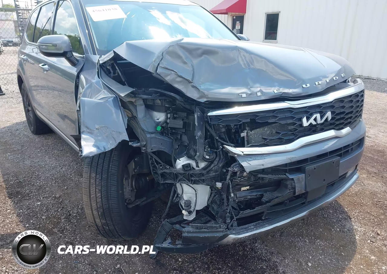 2022 Kia Telluride Sx VIN:5XYP54HC0NG207351 - 6