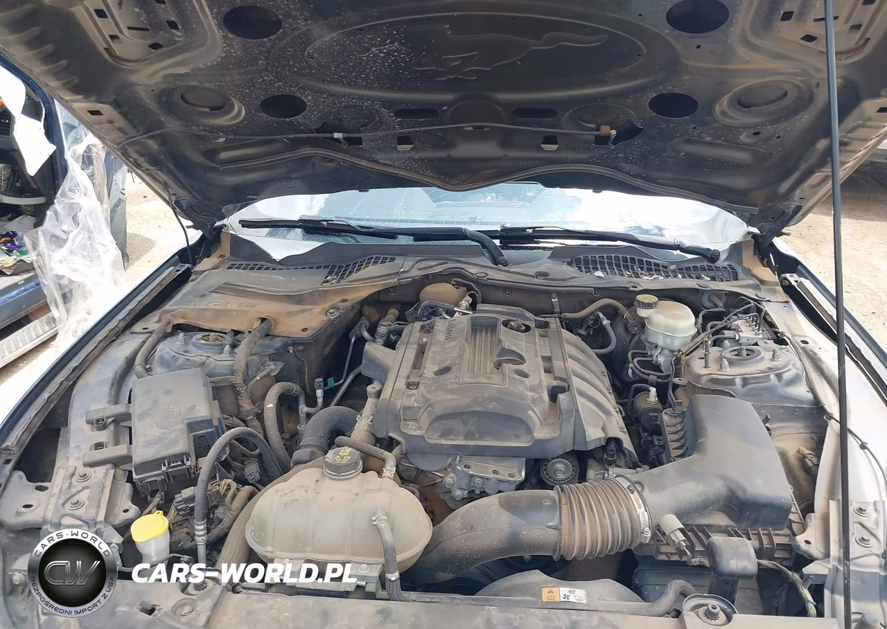 2017 Ford Mustang Ecoboost VIN:1FA6P8TH0H5229174 - 10
