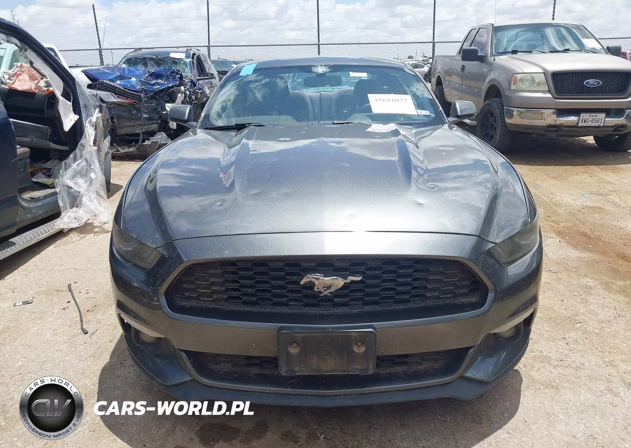 2017 Ford Mustang Ecoboost VIN:1FA6P8TH0H5229174 - 12