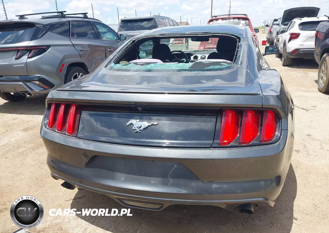 2017 Ford Mustang Ecoboost VIN:1FA6P8TH0H5229174 - 16