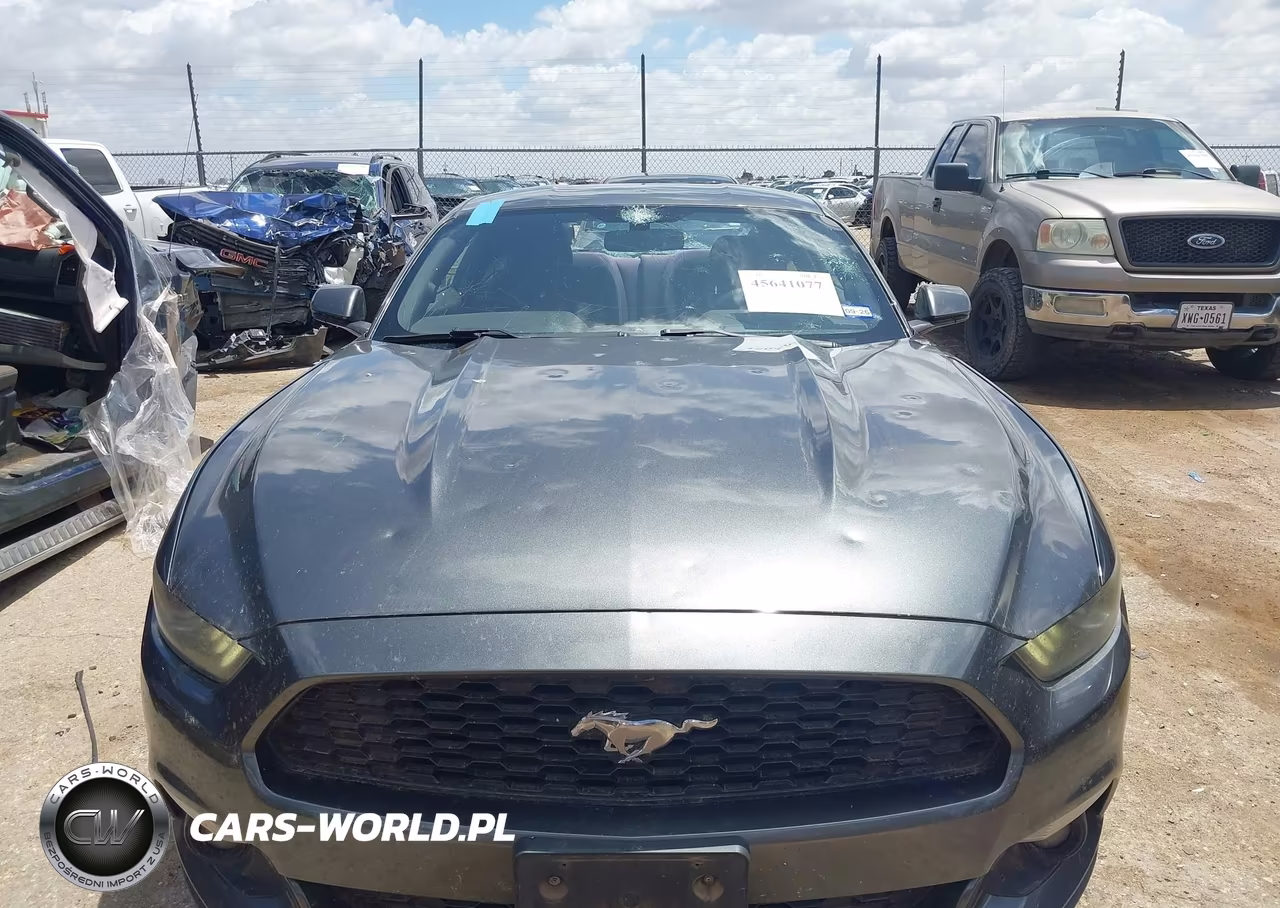 2017 Ford Mustang Ecoboost VIN:1FA6P8TH0H5229174 - 6