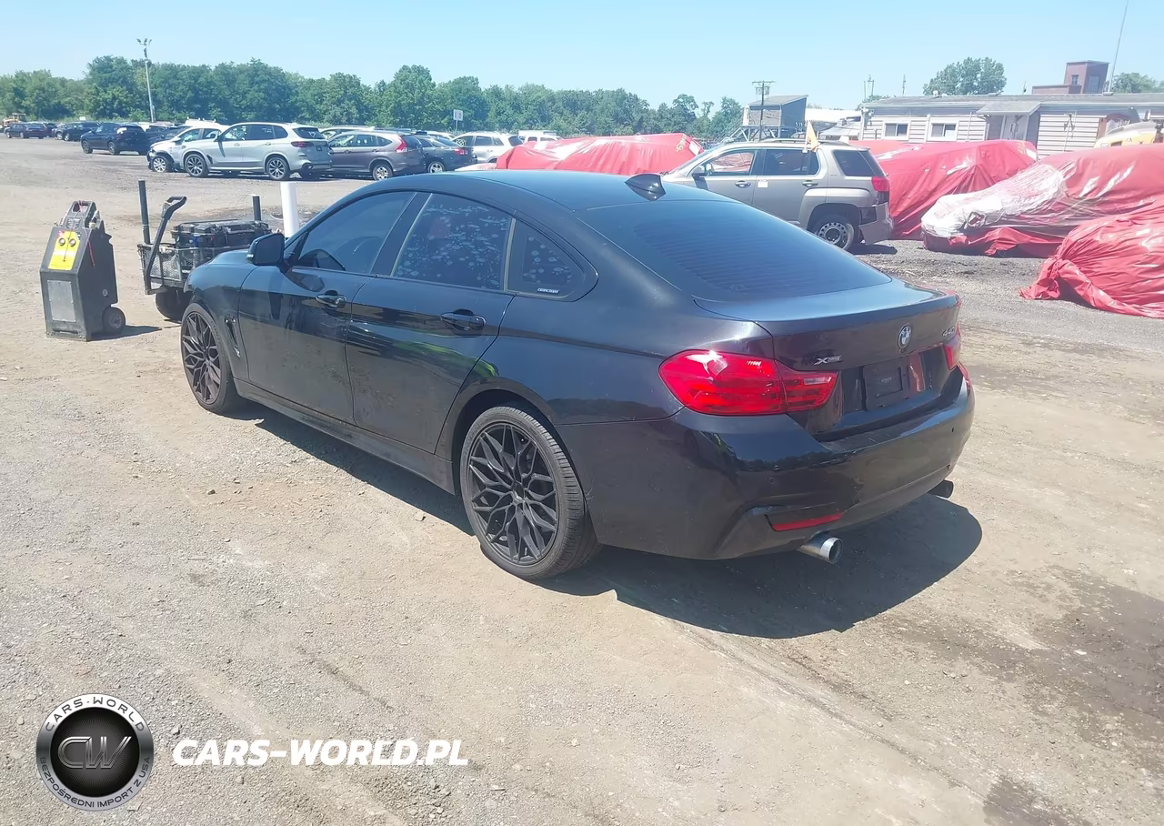 2017 BMW 440I Gran Coupe xDrive VIN:WBA4E5C57HG189009 - 3