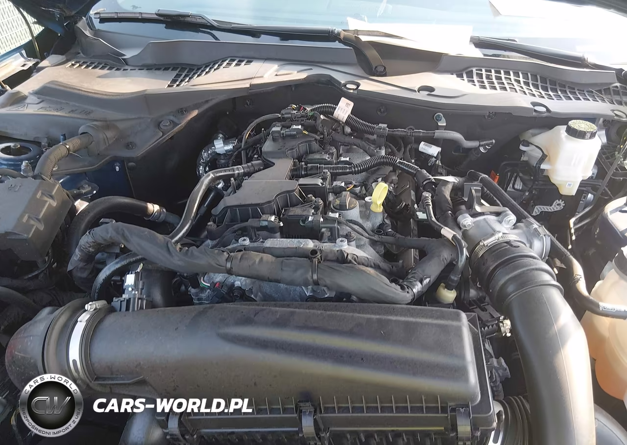 2024 Ford Mustang Ecoboost Premium Fastback VIN:1FA6P8THXR5105057 - 10
