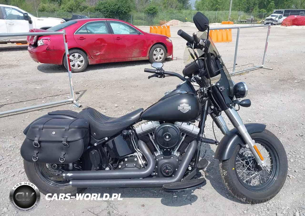2013 Harley-Davidson Fls Softail Slim VIN:1HD1JRV17DB012615 - 12
