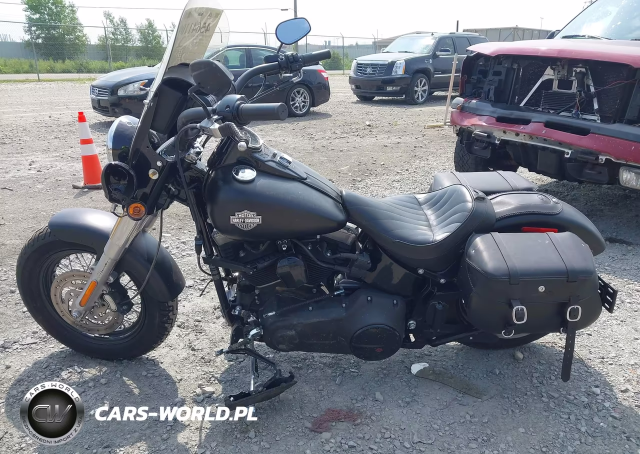 2013 Harley-Davidson Fls Softail Slim VIN:1HD1JRV17DB012615 - 13
