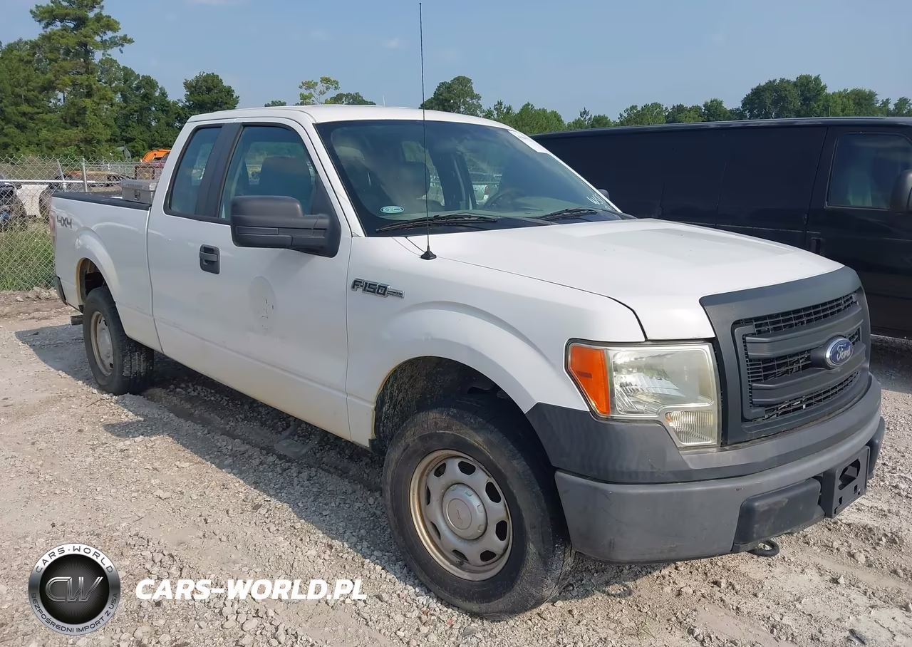 2013 Ford F-150 Xl VIN:1FTFX1EF9DKD65926 - 1