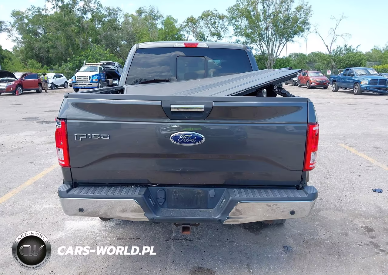 2016 Ford F-150 Xlt VIN:1FTEW1EG0GFA97143 - 16