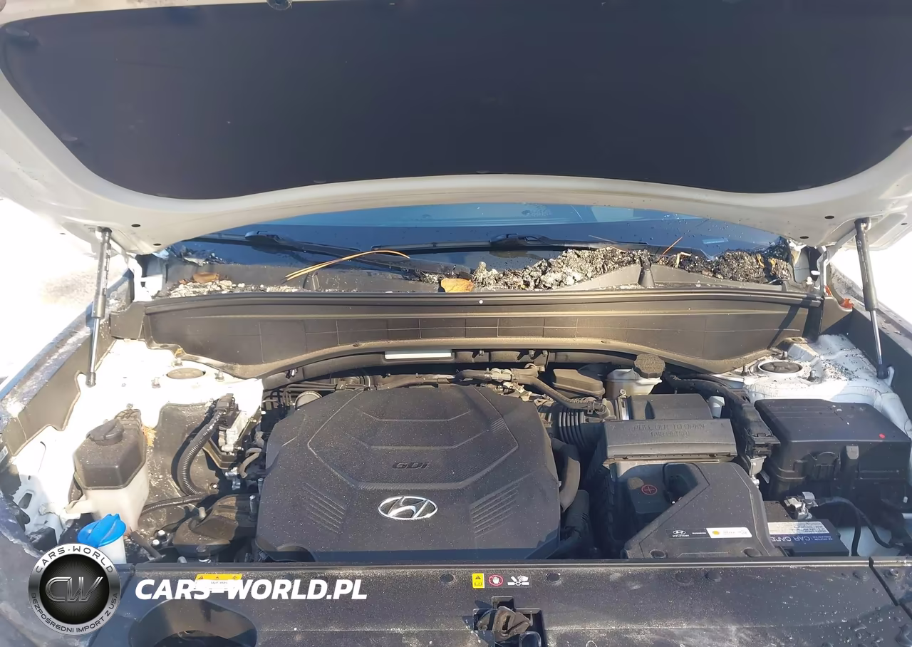 2022 Hyundai Palisade Calligraphy VIN:KM8R7DHE0NU396551 - 10