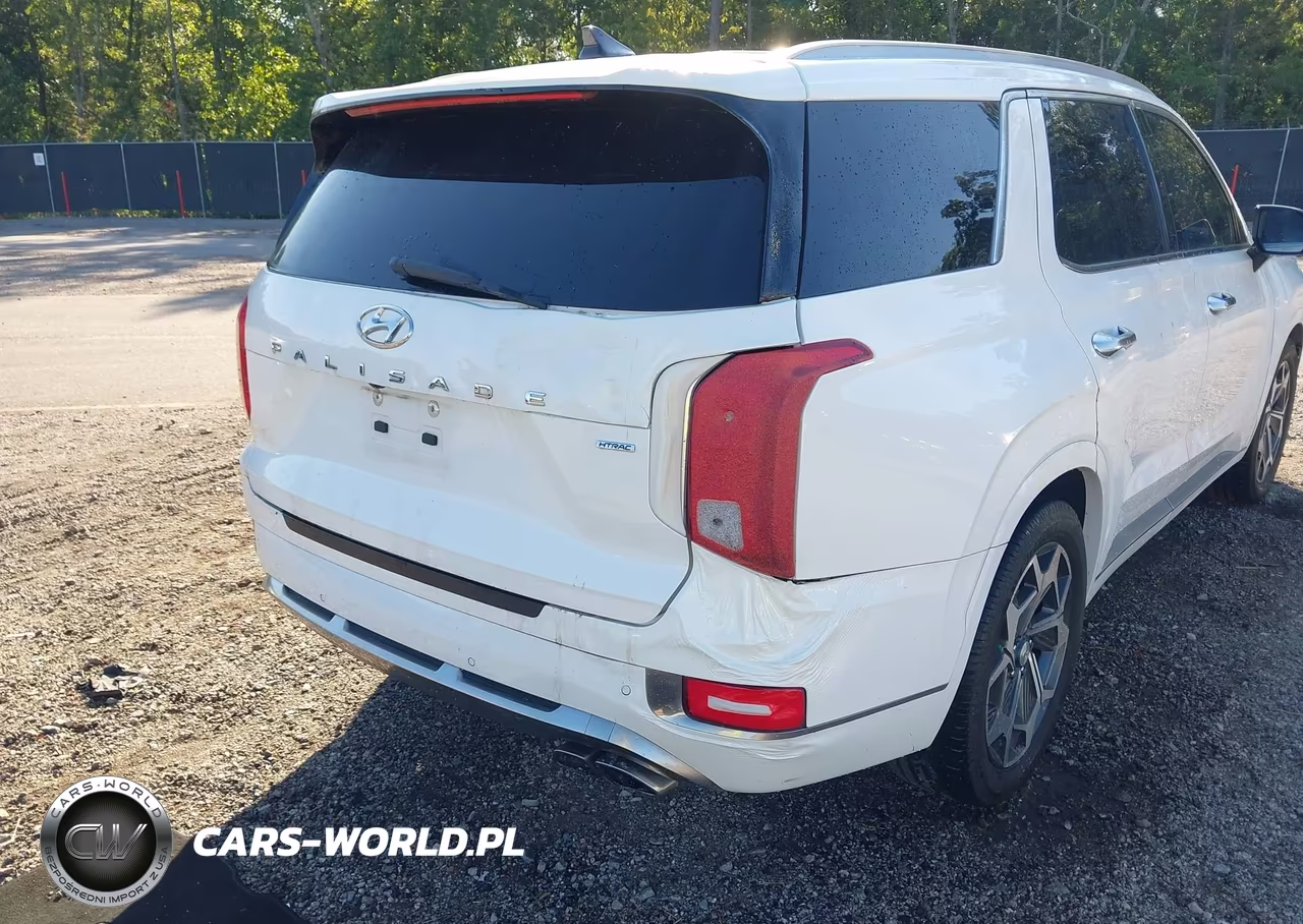 2022 Hyundai Palisade Calligraphy VIN:KM8R7DHE0NU396551 - 12