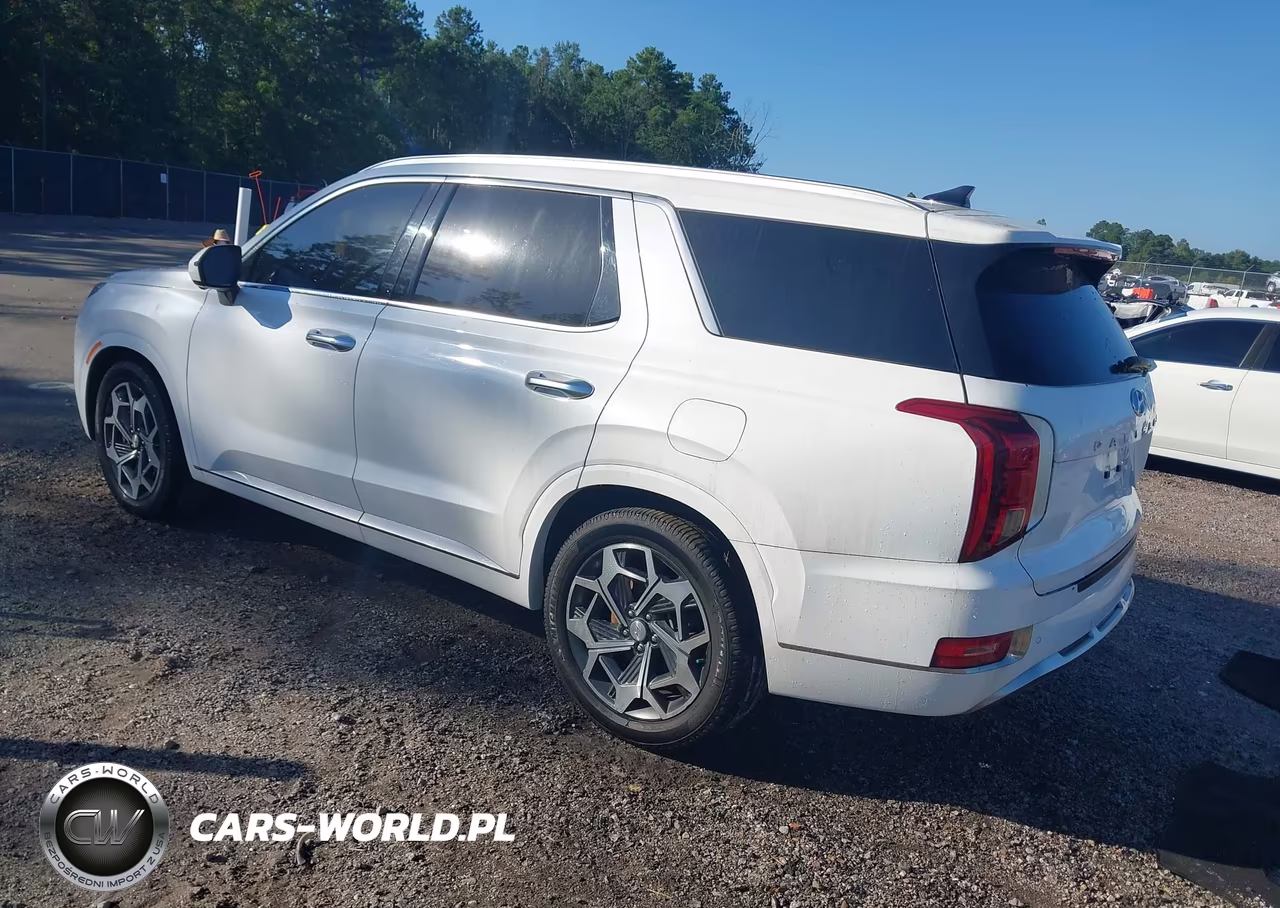 2022 Hyundai Palisade Calligraphy VIN:KM8R7DHE0NU396551 - 3