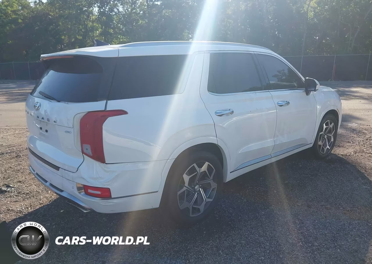 2022 Hyundai Palisade Calligraphy VIN:KM8R7DHE0NU396551 - 4