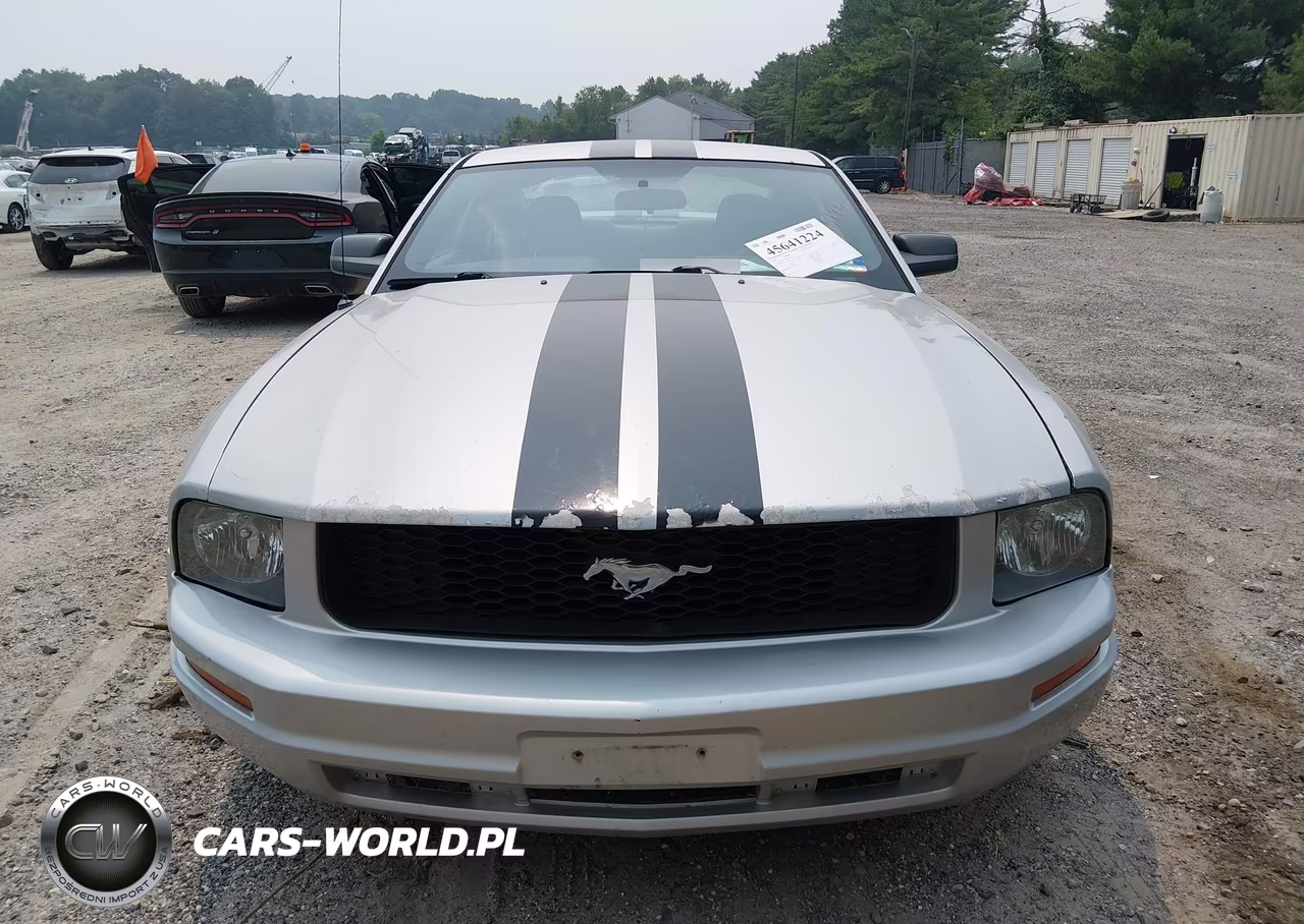 2006 Ford Mustang V6 VIN:1ZVFT80N965183497 - 12
