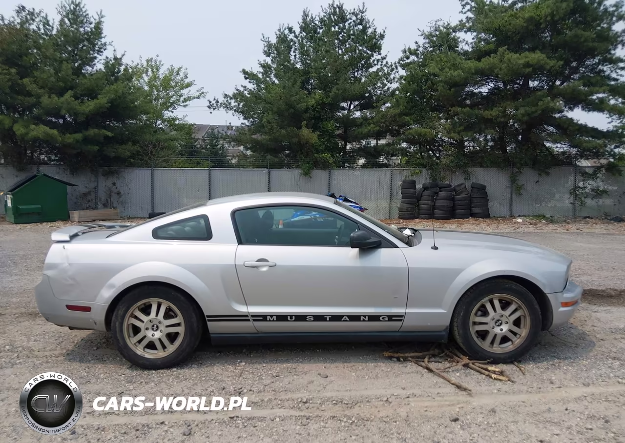 2006 Ford Mustang V6 VIN:1ZVFT80N965183497 - 13