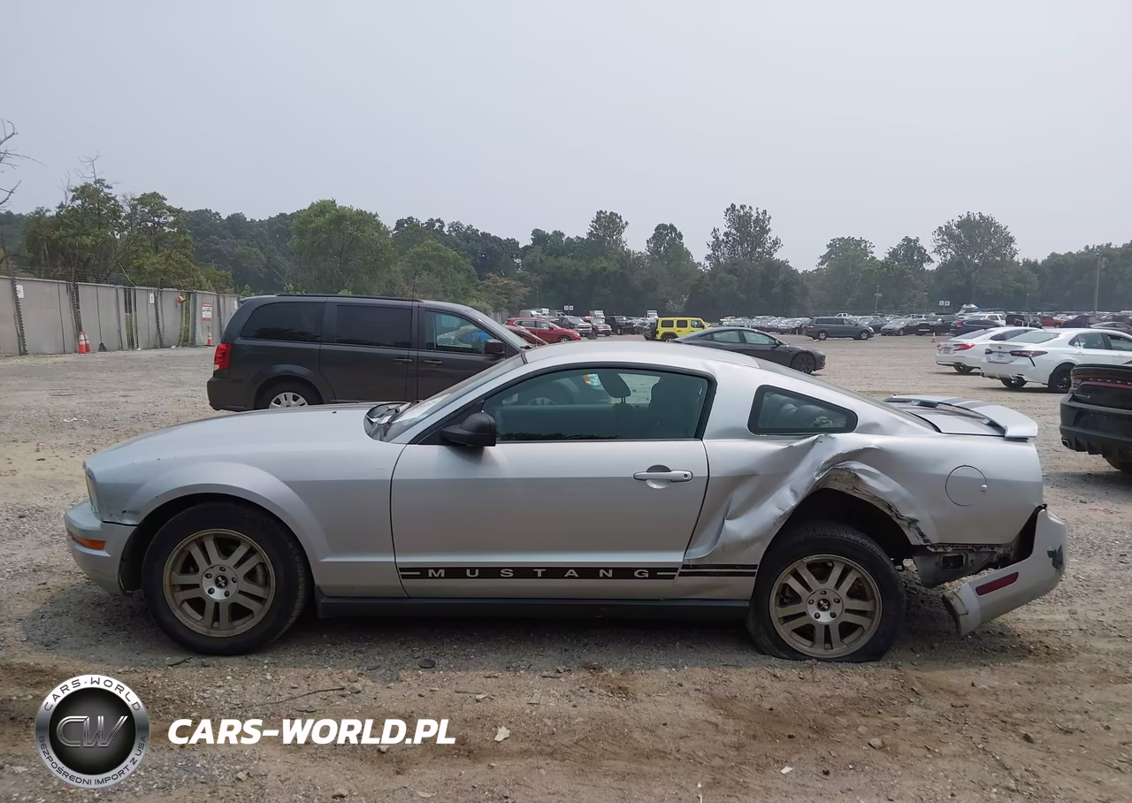 2006 Ford Mustang V6 VIN:1ZVFT80N965183497 - 14