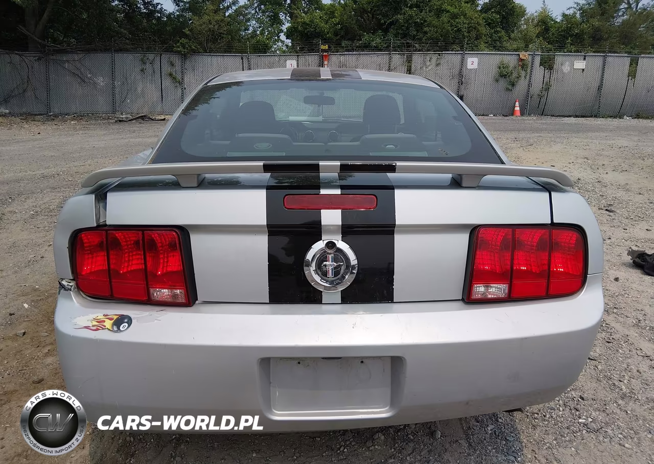2006 Ford Mustang V6 VIN:1ZVFT80N965183497 - 16