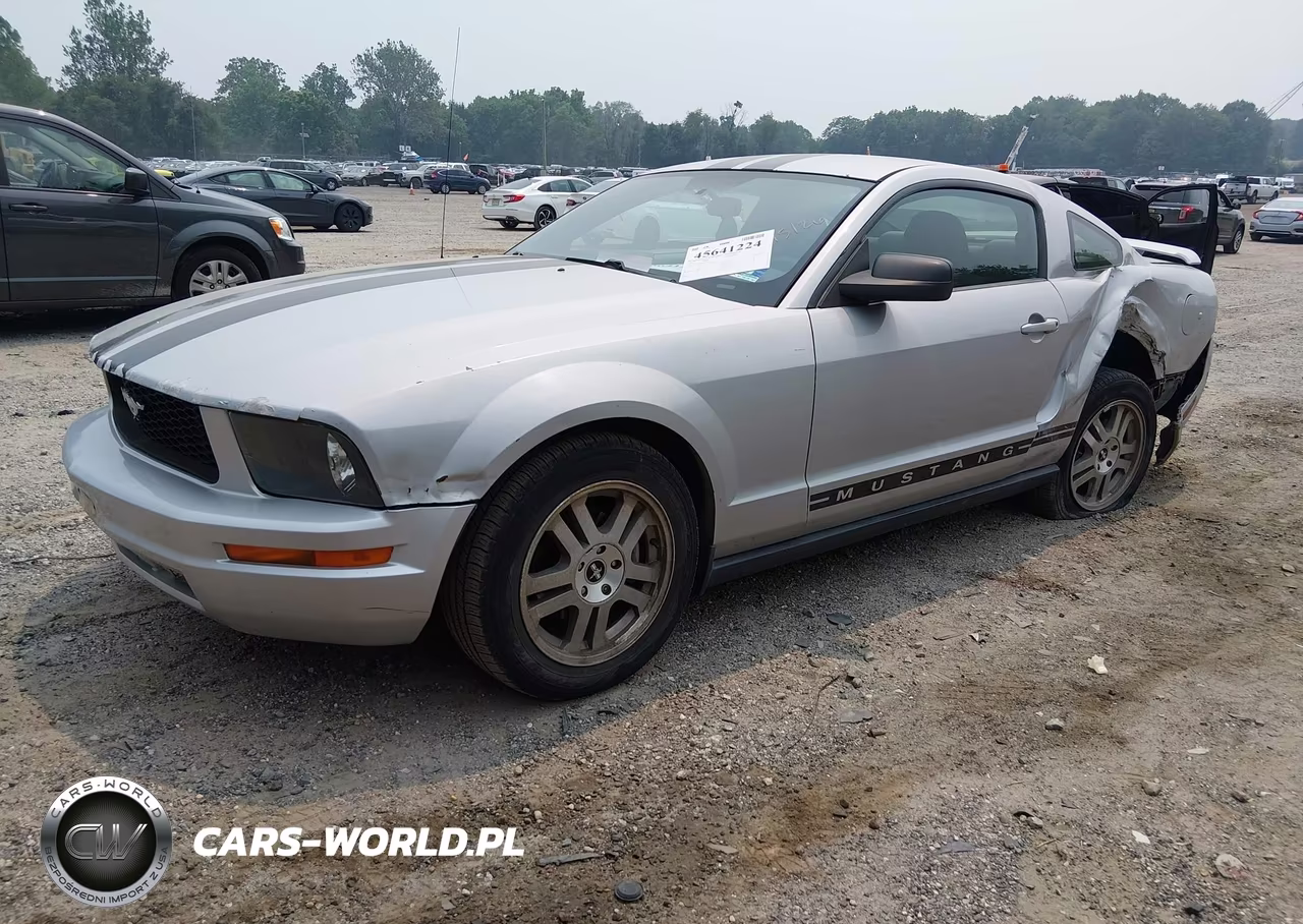 2006 Ford Mustang V6 VIN:1ZVFT80N965183497 - 2