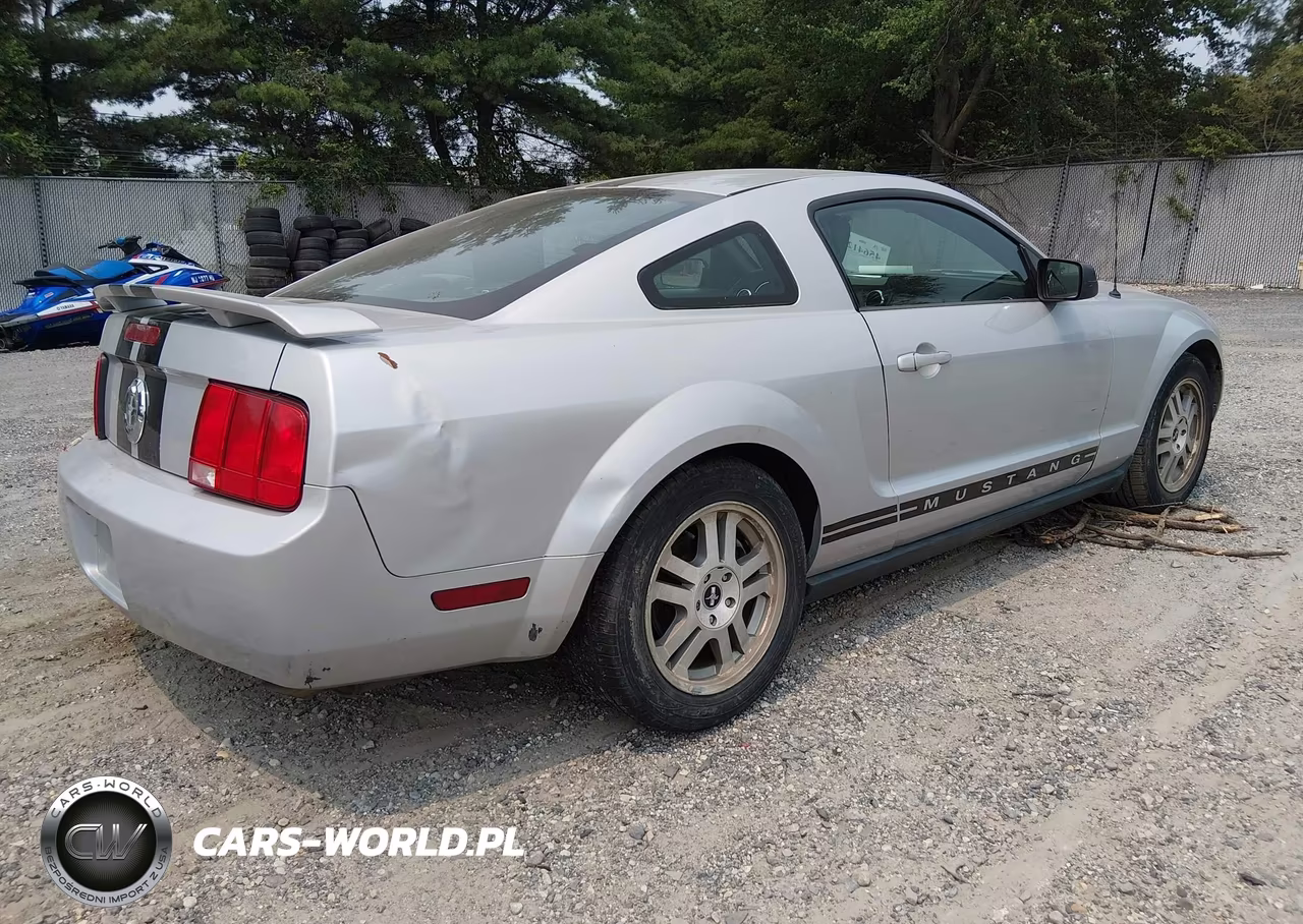 2006 Ford Mustang V6 VIN:1ZVFT80N965183497 - 4