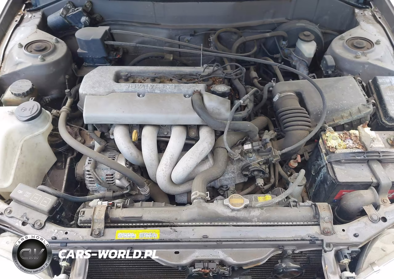 1998 Toyota Corolla Ce VIN:2T1BR12E5WC041817 - 10