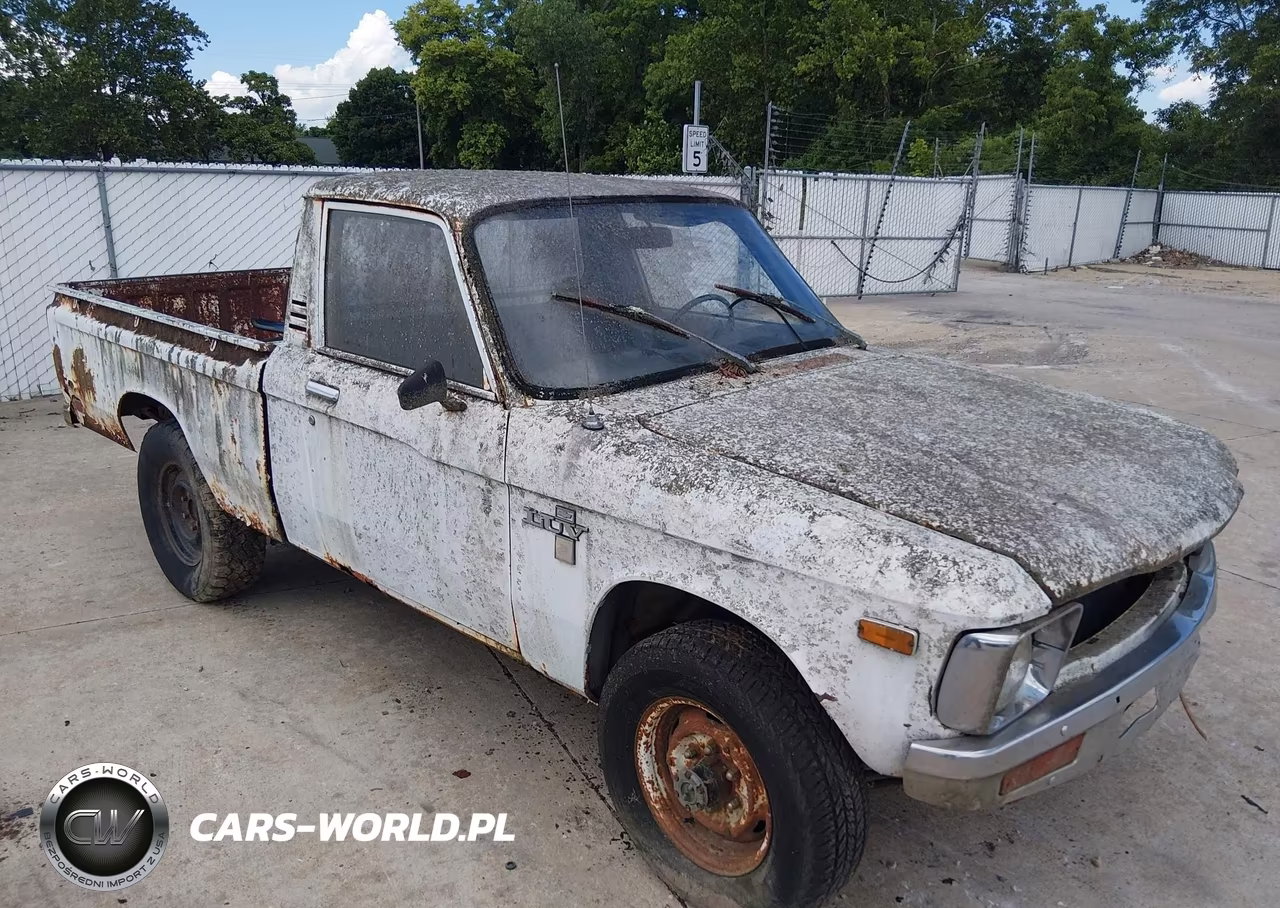 1979 Chevrolet Luv