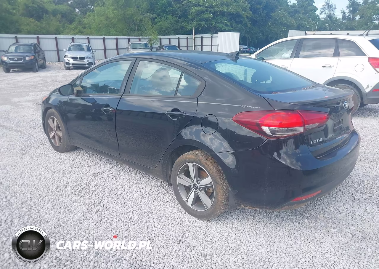 2018 Kia Forte S VIN:3KPFL4A77JE221866 - 3