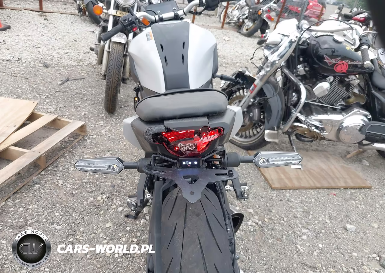2025 Yamaha Mtn690 VIN:JYARM48E1SA003484 - 16