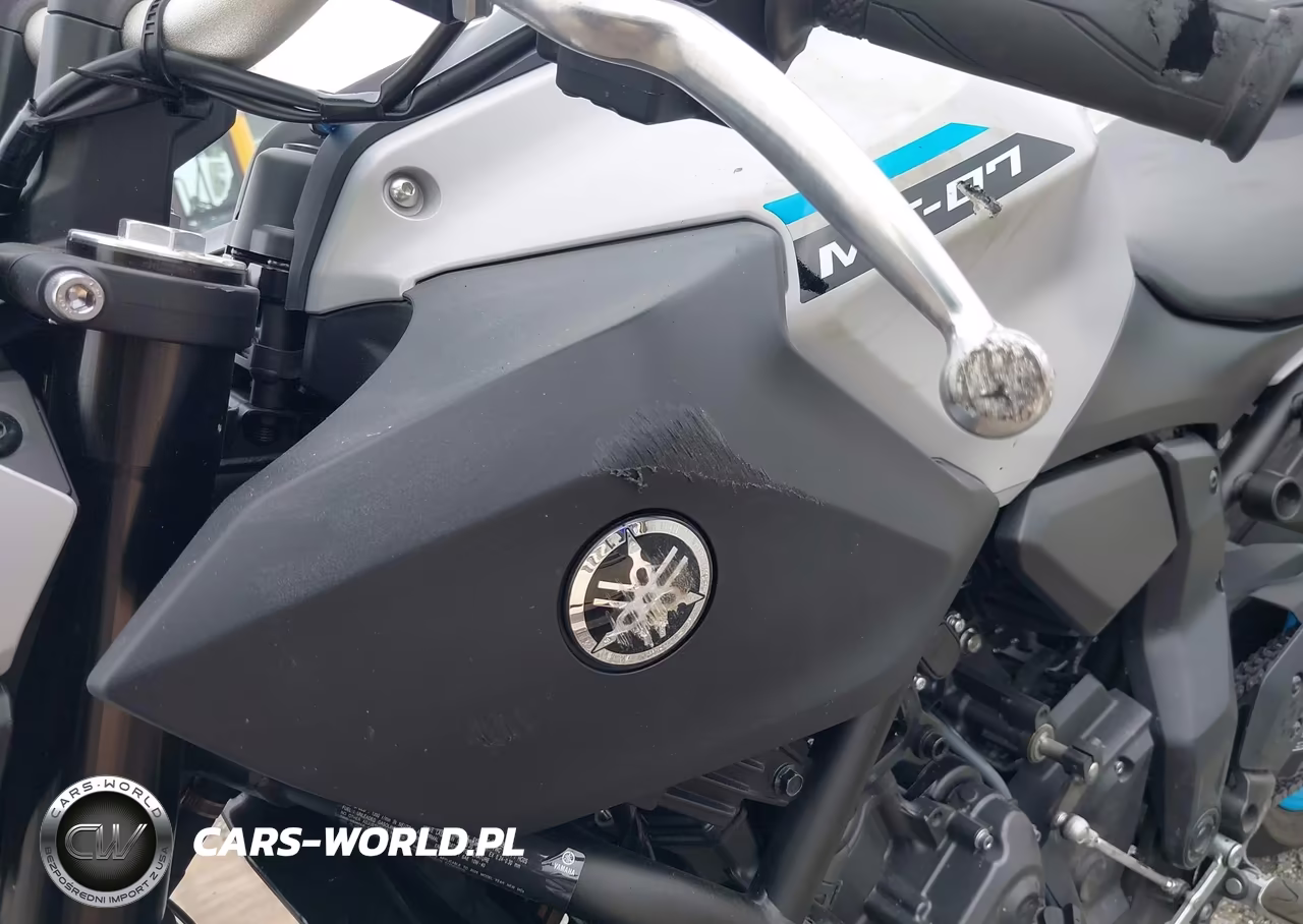 2025 Yamaha Mtn690 VIN:JYARM48E1SA003484 - 17