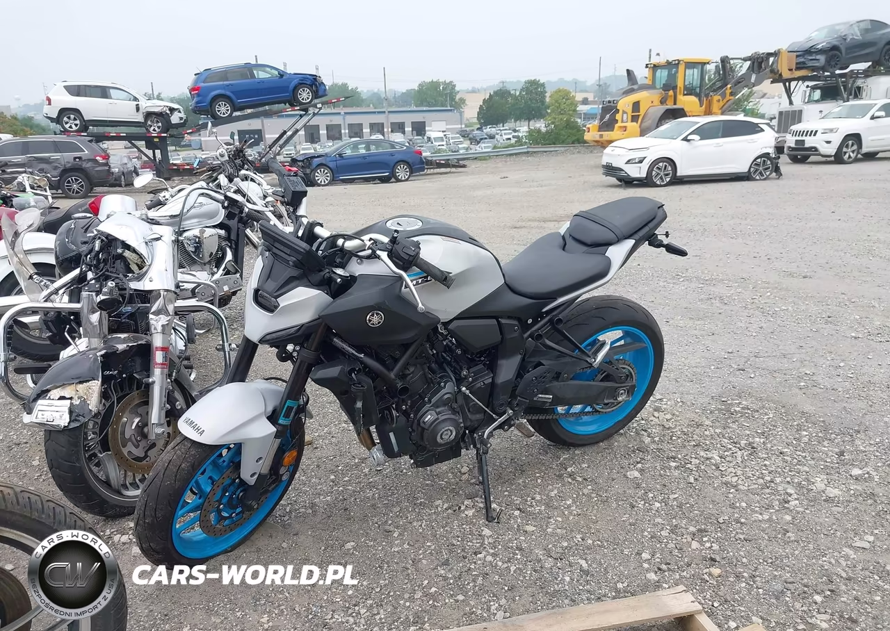 2025 Yamaha Mtn690 VIN:JYARM48E1SA003484 - 2