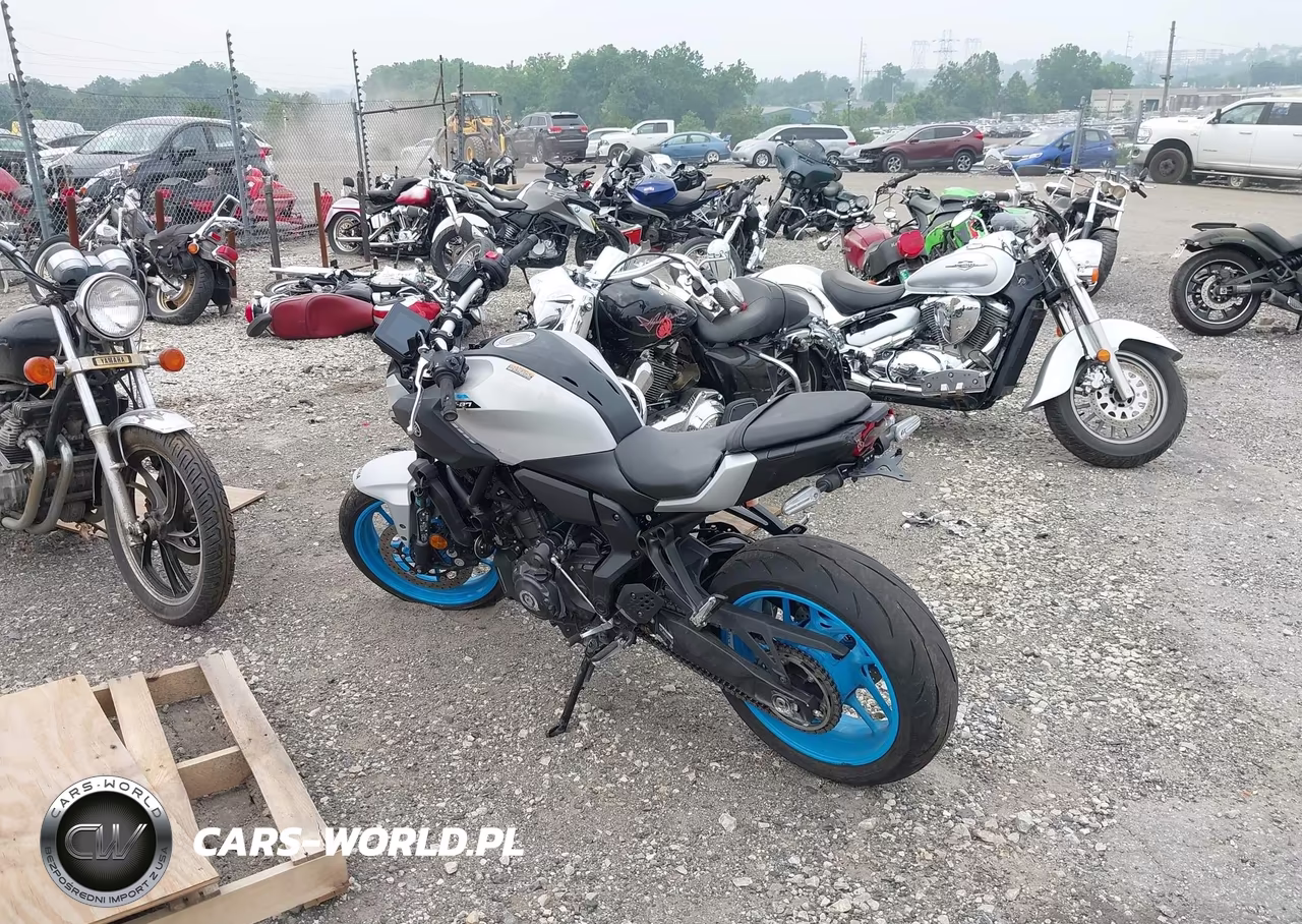 2025 Yamaha Mtn690 VIN:JYARM48E1SA003484 - 3