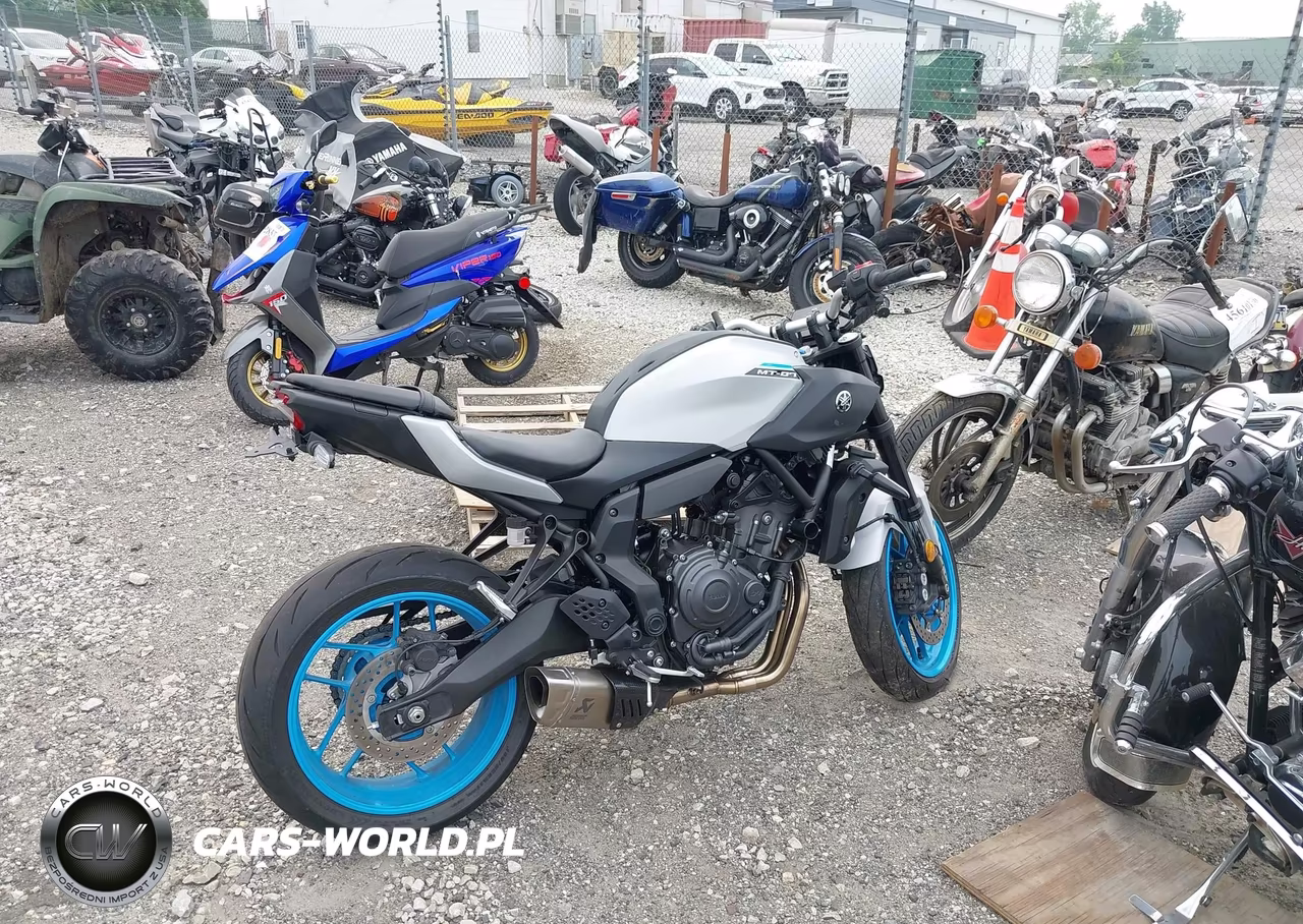 2025 Yamaha Mtn690 VIN:JYARM48E1SA003484 - 4