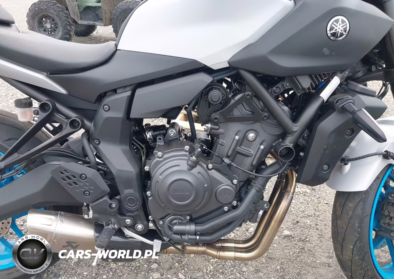 2025 Yamaha Mtn690 VIN:JYARM48E1SA003484 - 8