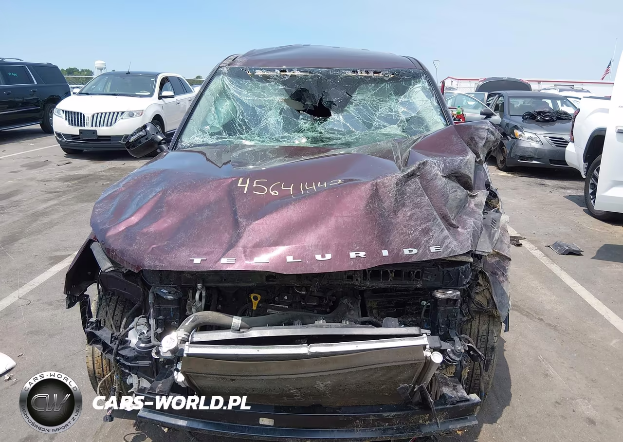 2022 Kia Telluride Lx VIN:5XYP2DHC4NG238515 - 12