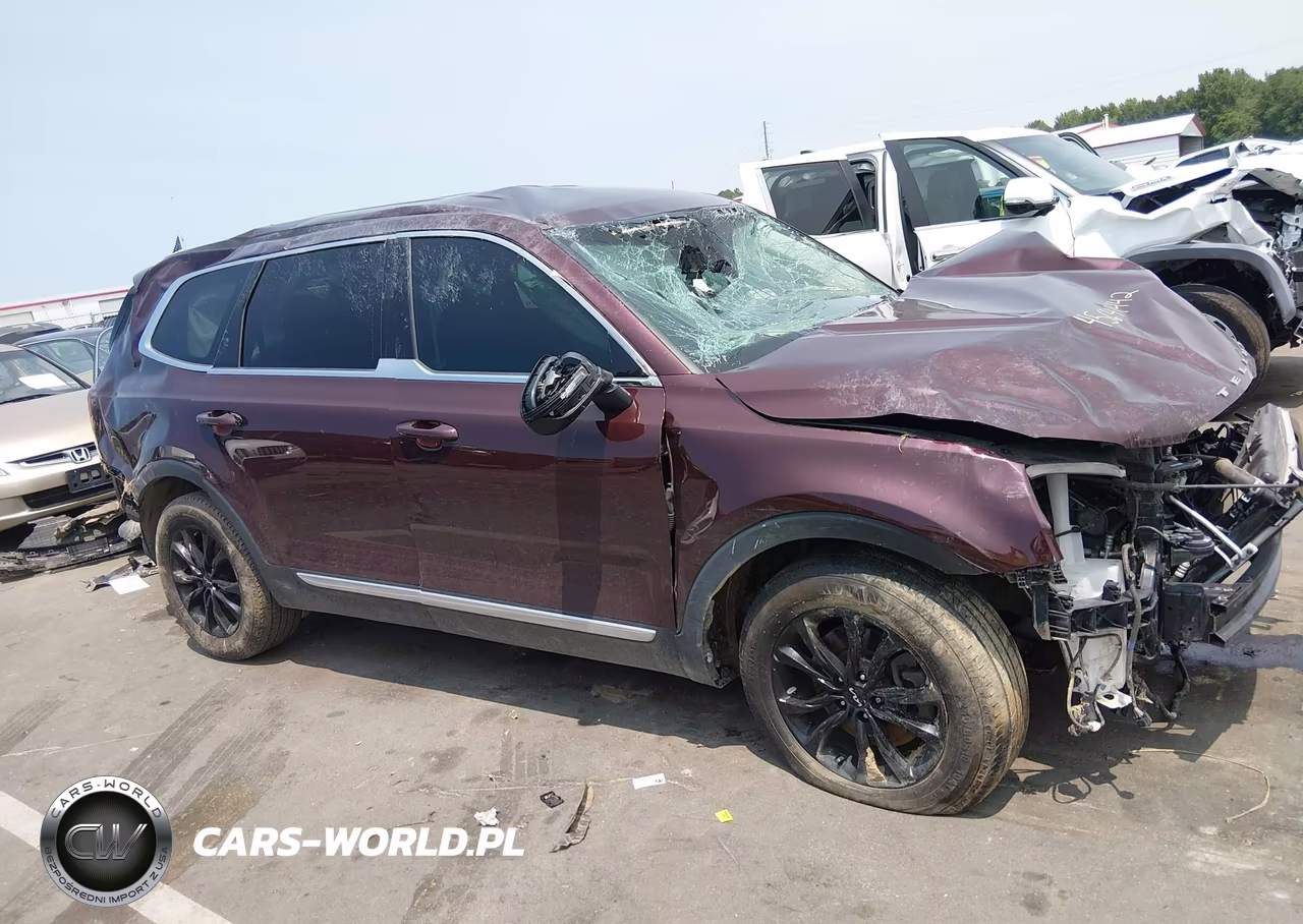 2022 Kia Telluride Lx VIN:5XYP2DHC4NG238515 - 13