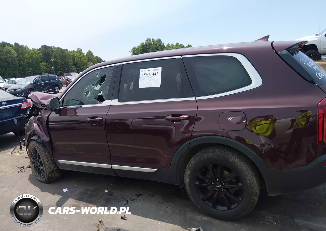 2022 Kia Telluride Lx VIN:5XYP2DHC4NG238515 - 14