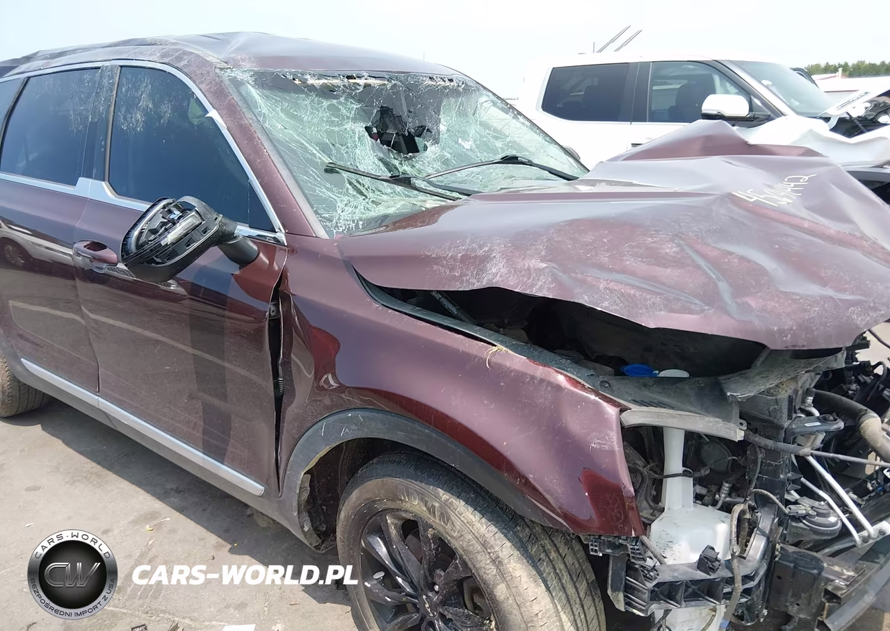 2022 Kia Telluride Lx VIN:5XYP2DHC4NG238515 - 20
