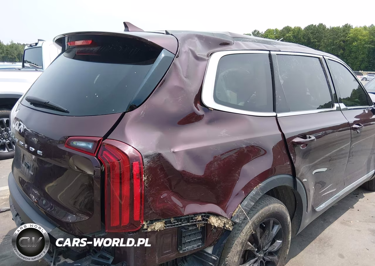 2022 Kia Telluride Lx VIN:5XYP2DHC4NG238515 - 21