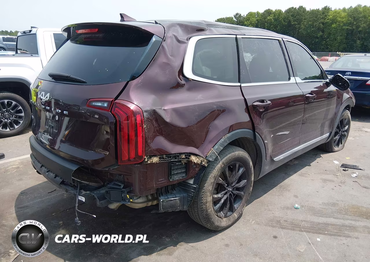 2022 Kia Telluride Lx VIN:5XYP2DHC4NG238515 - 4