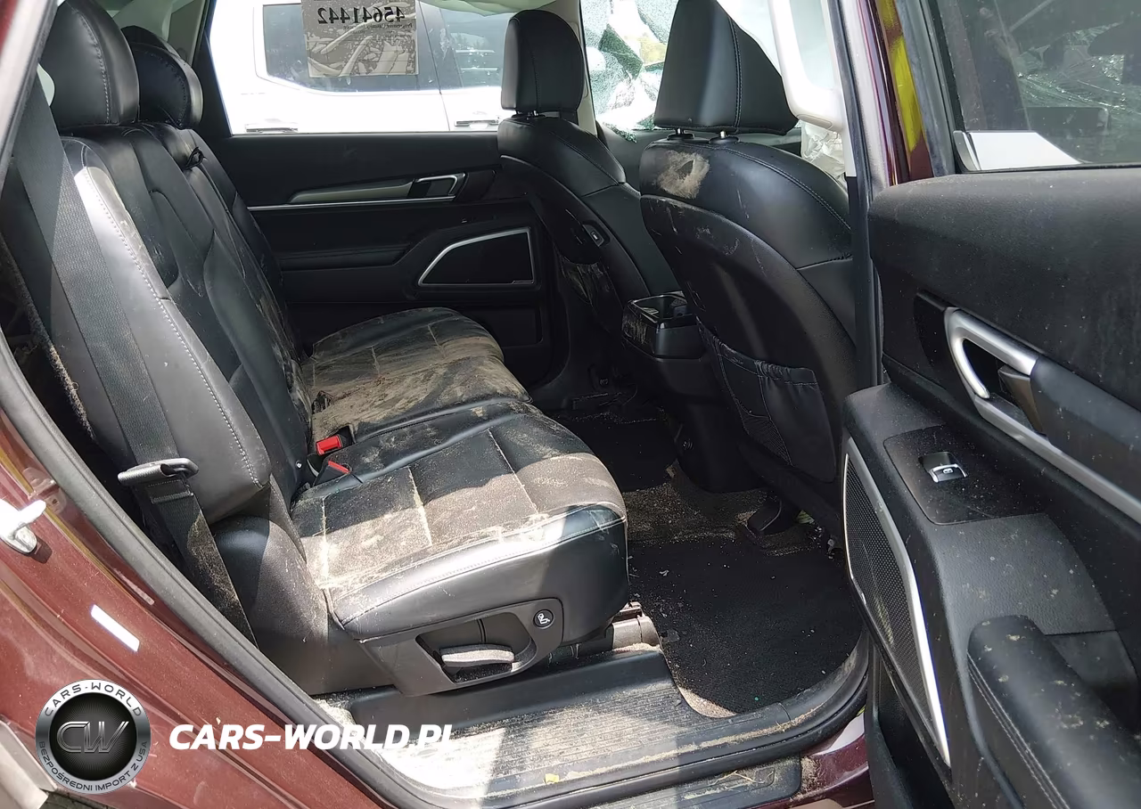 2022 Kia Telluride Lx VIN:5XYP2DHC4NG238515 - 8