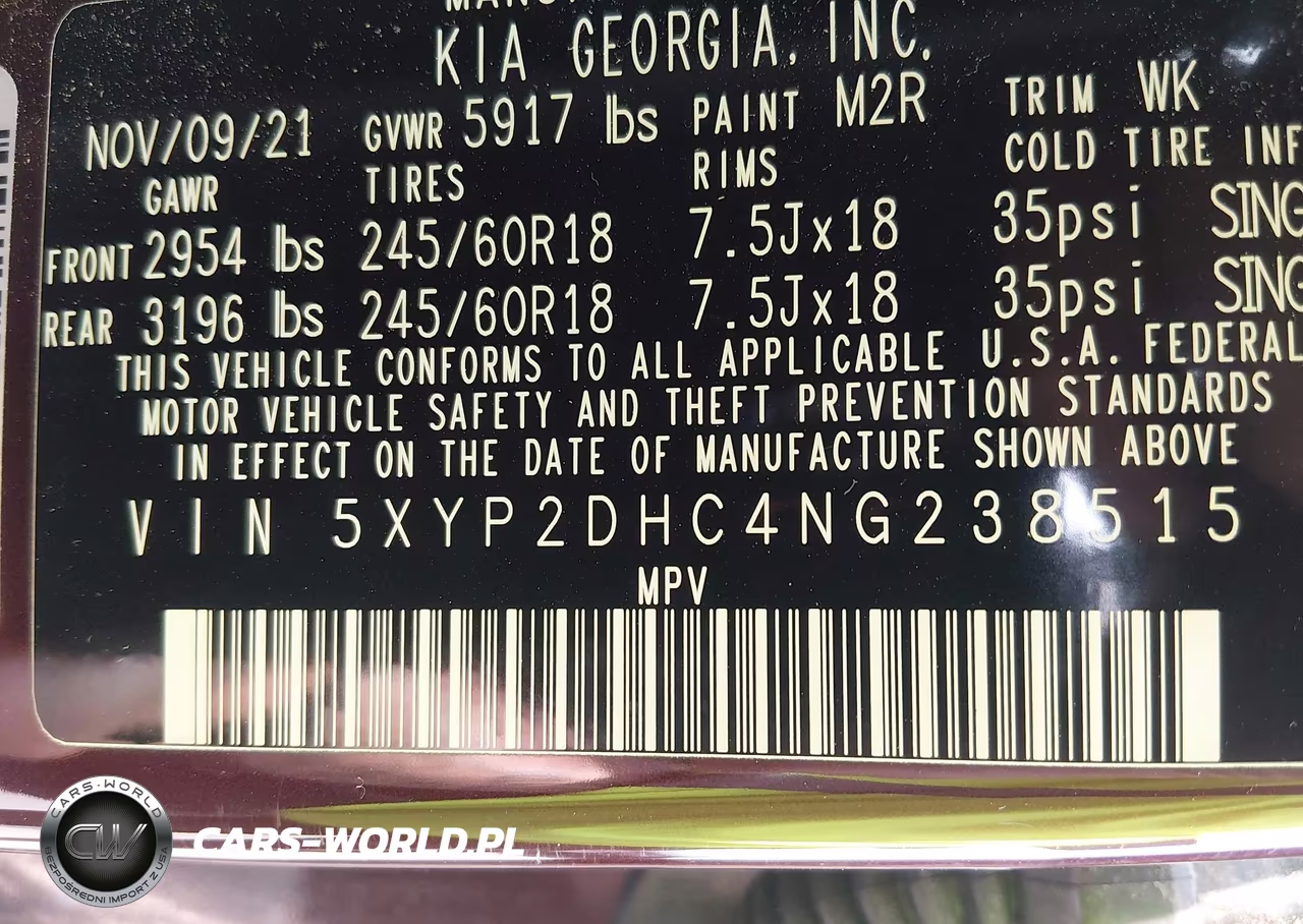 2022 Kia Telluride Lx VIN:5XYP2DHC4NG238515 - 9