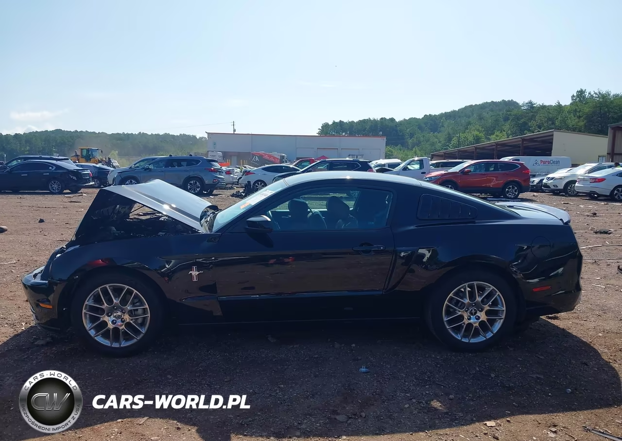 2013 Ford Mustang V6 Premium VIN:1ZVBP8AM1D5250552 - 15