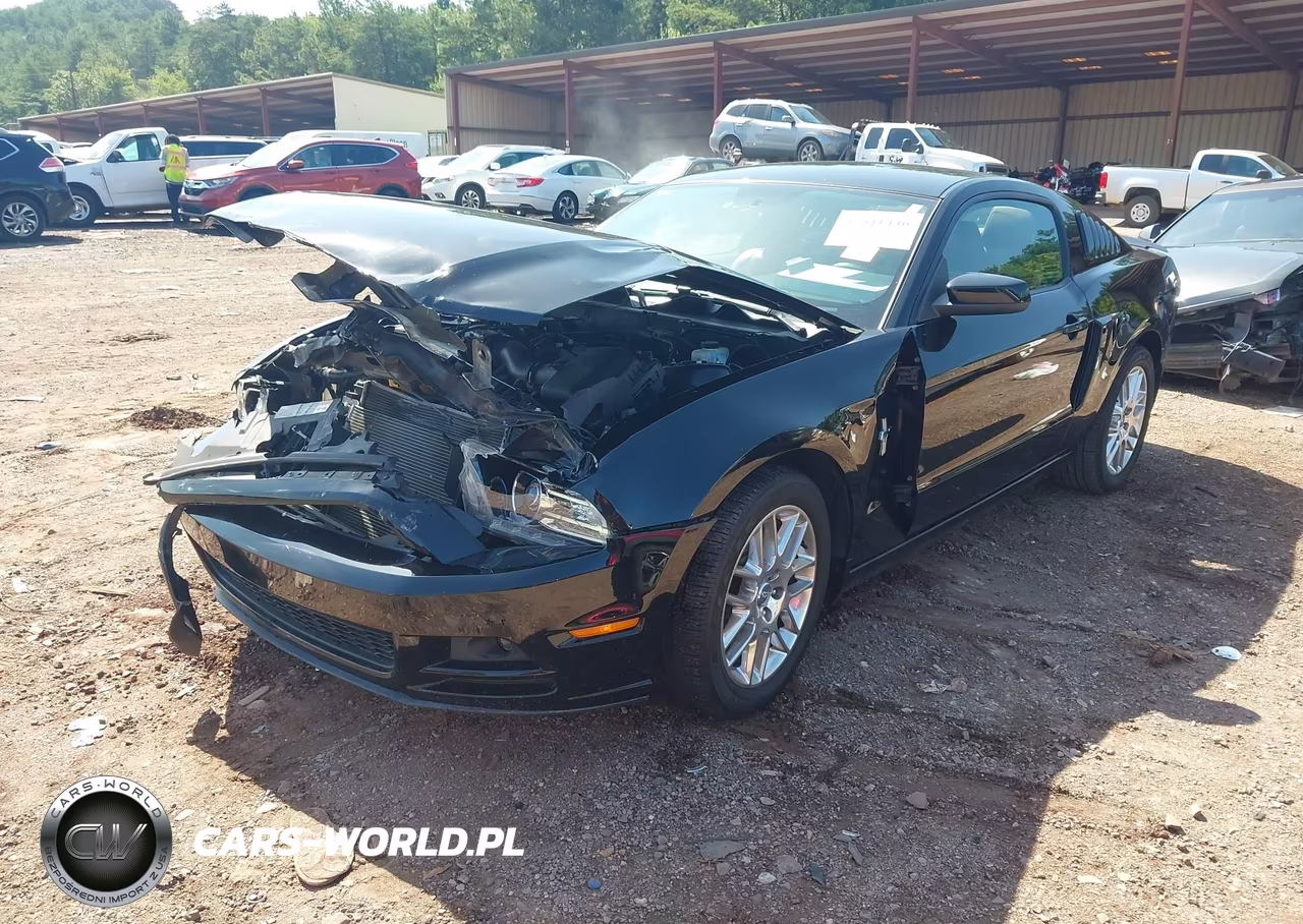 2013 Ford Mustang V6 Premium VIN:1ZVBP8AM1D5250552 - 2
