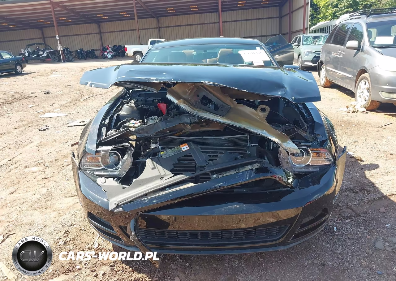 2013 Ford Mustang V6 Premium VIN:1ZVBP8AM1D5250552 - 6
