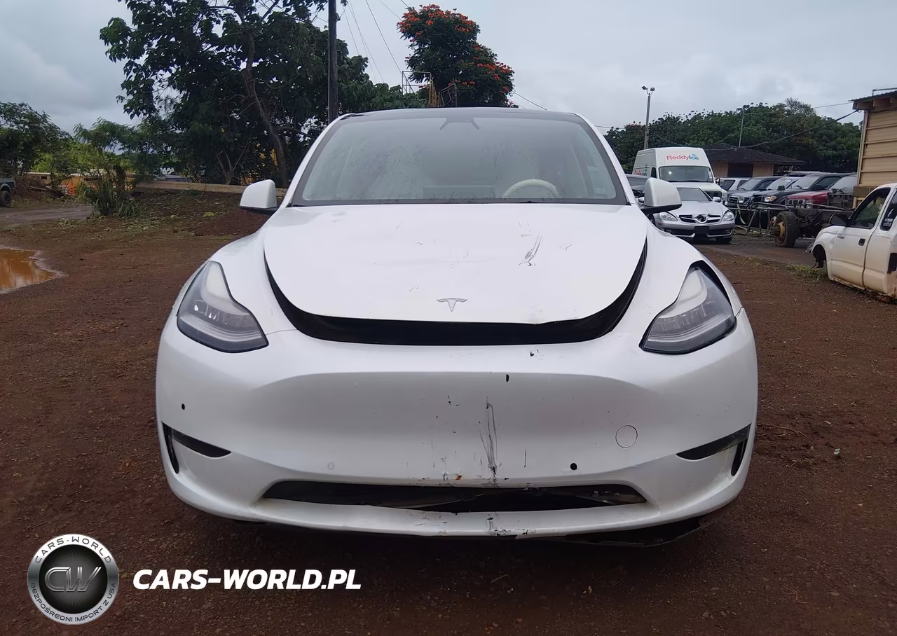 2021 Tesla Model Y Long Range Dual Motor All-Wheel Drive VIN:5YJYGDEE7MF279142 - 12